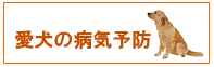 ���������a�C�E�a��